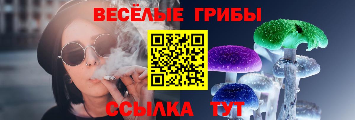 Борзя  Псилоцибиновые грибы Cubensis  Вход с VPN 